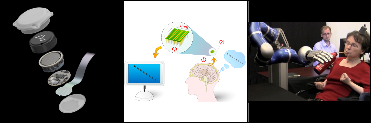 A conceptual image representing the intersection of brain-computer interfaces and cognitive augmentation.